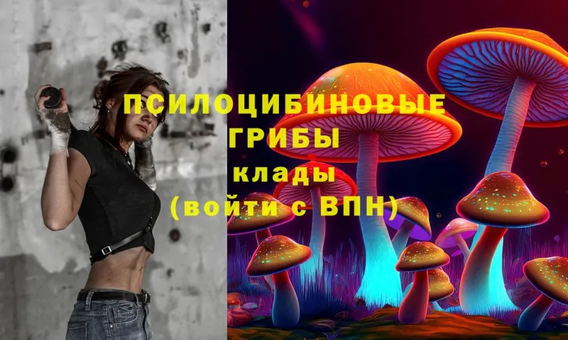 Псилоцибиновые грибы мицелий  Кубинка 